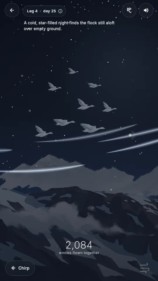 The world at night, the sky following the local time on your device.