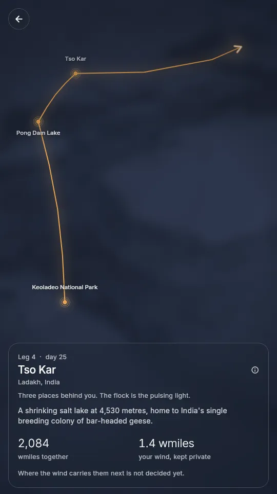 The route map showing the stopovers already behind the flock.
